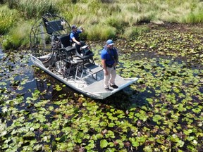Deputies Ryan Eberts and Daniel Wood of the St. Tammany Parish Sheriff's Office search for the alligator believed to have killed a man after Hurricane Ida in Slidell, La.