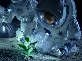 A lunar night is about minus 200 degrees Celsius and lasts for two weeks, which is challenging for plants to survive, says Dr. Thomas Graham. (Artistic interpretation of astronaut tending to a plant.)
