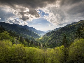 Great Smoky Mountains National Park near Gatlinburg, Tenn., near the North Carolina border.