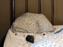 A meteorite rests on a bed inside a residential building in Golden, B.C., in an undated photo.