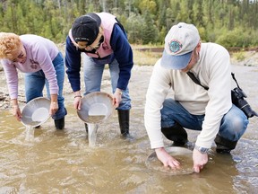 Panning for gold is one way to find it, but modern placer mines operate on a much larger scale.
