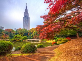 Tokyo is filled with green spaces to connect with nature.