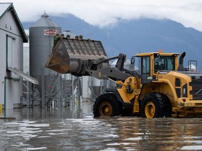 Members of the Canadian Forces arrive by front-end loader to help move some 30,000 chickens at a flooded farm in Abbotsford, B.C., on Nov. 20, 2021.