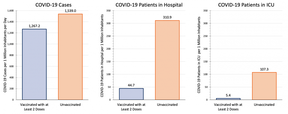 Auch wenn die Fälle aufgrund von Omicron zunehmen, bleibt das Risiko einer Krankenhauseinweisung für Ungeimpfte laut diesen Grafiken aus der Ontario COVID-19 Science Advisory Table dramatisch höher.
