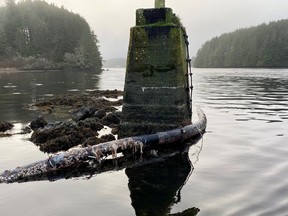 Kanada ist mehr als 9.000 Kilometer von der Stelle des Tonga-Vulkans entfernt, der am 14. Januar ausbrach. Trotzdem war der Ausbruch stark genug, um Gezeitenströme auszulösen, die einen Schlepper in diese Wasserlinie in der Nähe von Ucluelet pflügten und das Trinkwasser für den Vulkan abschnitten First Nations-Gemeinschaft von Hitacu̓.