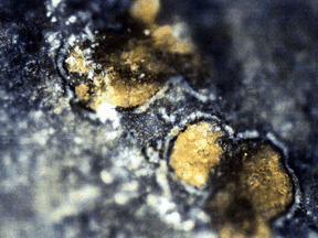 Orangefarbene Karbonat-Mineralkügelchen sind in einem Meteoriten namens ALH84001 zu sehen, von dem angenommen wird, dass er einst ein Teil des Mars war.
