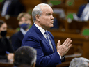 Conservative Leader Erin O'Toole speaks during question period in the House of Commons on Jan. 31. 