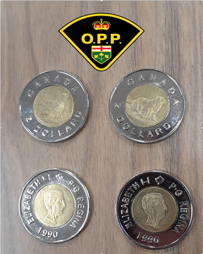 Laut der Provinzpolizei von Ontario versucht anscheinend jemand, diese gefälschten Toonies in der Nähe von Hawkesbury, Ont, einer Gemeinde an der Grenze zwischen Ontario und Quebec, auszugeben.  Während der Versuch, diese als gesetzliches Zahlungsmittel auszugeben, illegal ist, ist ihr Design so ungewöhnlich, dass nicht klar ist, ob sie per se als gefälschte Währung gelten würden.  Der Nennwert der Münze lautet „Z DOLLARD“, die Vorderseite zeigt ein Walross anstelle eines Eisbären, und die Rückseite scheint Neville Chamberlain anstelle von Queen Elizabeth II zu zeigen.