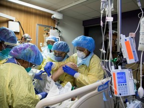 FILE PHOTO: A respiratory therapist and six nurses prone a coronavirus disease (COVID-19) patient inside the intensive care unit of Humber River Hospital in Toronto, Ontario, Canada April 19, 2021.