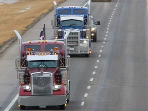 Trucks in the “Freedom Convoy” head east on the Trans-Canada Highway east of Calgary on Jan. 24, 2022. The convoy is headed to Ottawa to protest the federal government’s COVID-19 vaccine mandate for cross-border truckers, although the protest is now taking on larger significance, writes Rex Murphy.