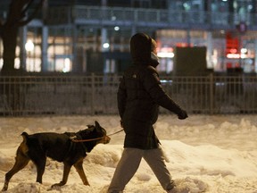 A woman walks her dog moments before a COVID-19 8:00 p.m. curfew in Montreal in, January 2021.