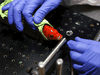 A researcher prepares a goldfish to learn how to navigate with a fish-operated vehicle on land, at Ben-Gurion University in Beersheba, Israel, January 6, 2022.