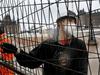 Workers construct a barrier around the parliament buildings in Ottawa on February 17, 2022 after Prime Minister Justin Trudeau invoked the Emergencies Act to try to put an end to a blockade by truckers to protest COVID restrictions.