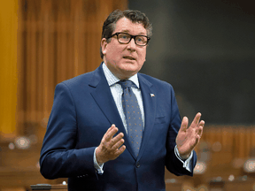 Der konservative Abgeordnete John Williamson fordert ein Rennen um die Parteiführung bis zum Canada Day: „Vier Monate sind nicht schnell, nicht wenn wir in 35 Tagen nationale Regierungen wählen.“