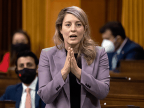 Foreign Minister Mélanie Joly: "I'm very concerned. ... That's why I've been saying to people that are in Ukraine, Canadians that are in Ukraine, 'get out now.' "