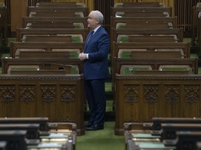 Leader of the Opposition Erin O'Toole rises to question the government during Question Period in the House of Commons Wednesday February 3, 2021 in Ottawa. THE CANADIAN PRESS/Adrian Wyld
