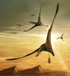 An illustration shows the newly identified Jurassic Period flying reptile, or pterosaur, called Dearc sgiathanach, whose roughly 170 million-year-old fossil was found on a rocky beach on Scotland’s Isle of Skye.