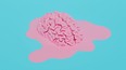 melted pink brain on pastel blue background. 3d rendering