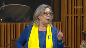 Former Green Party Leader Elizabeth May had some thoughts after the Zelenskyy speech. She said Canada should “invent something” to stop the war.