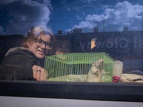 Ein ukrainischer Flüchtling schaut aus dem Fenster eines Busses, der von der polnischen Stadt Medyka nach Österreich fährt.  Ihr Bruder und ihr Vater blieben zurück, um zu kämpfen, also begleitet sie ihre Haustierratte auf ihrer Reise.  (Foto: Milos Bicanski/We Animals Media)