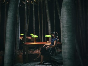 VR headsets are used in a library-like setting that is also a forest.