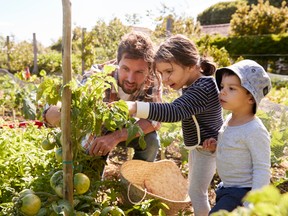 Frank Stronach: Teaching kids the importance of healthy eating