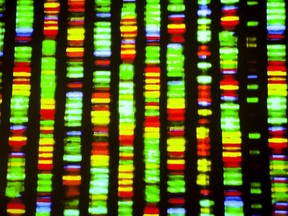 Graphic representation of the human DNA sequence.