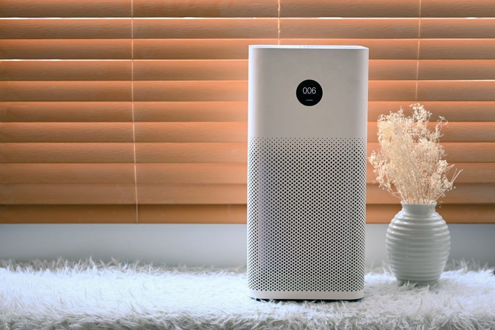 Fighting the Mold Threat: Are Air Purifiers Worth It? thumbnail