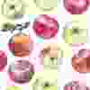 Watercolor apples pattern. All object made in vector. Each one is separately.