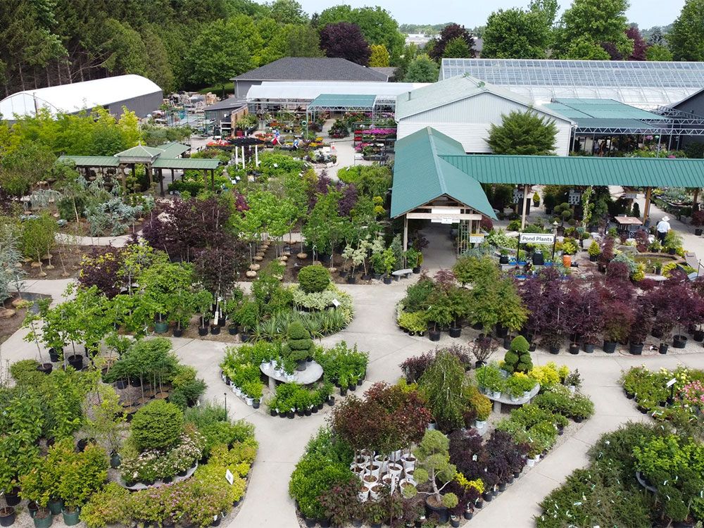 Garden season is here again at Glasshouse Nursery and Garden Centre Toronto Sun