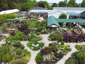 Glasshouse Nursery and Garden Centre has been stocking up and is ready for Spring and the gardening season ahead. - All photos supplied