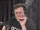 Elon Musk, pictured Sep. 7, 2018, smokes weed on