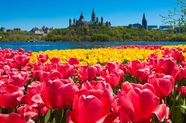 Sponsored Kick Off Spring With A Visit To Ottawa For The National 