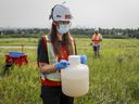 A City of Calgary industrial technician holds a jug of wastewater at a collection site as University of Calgary researchers check monitoring equipment for traces of COVID-19 in the wastewater system in  Calgary, Alta. in July 2021.