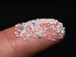 Small Plastic pellets on the finger.Micro plastic.