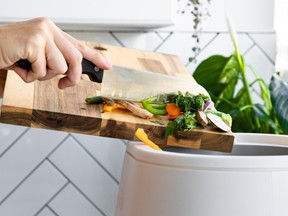 Let Lomi do the dirty work by reducing your kitchen waste by transforming it into compost.
