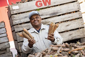 A desire to travel and learn new things attracted Baldeo Gopaul to come to Canada from Trinidad & Tobago more than 20 years ago. He has been working on the same vegetable farm in the Holland Marsh for the last 12 years. Supplied