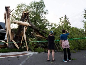 Anwohner werfen einen Blick auf einen Baum, der am Samstag, den 21. Mai 2022 bei einem großen Sturm in Ottawa zerstört wurde.
