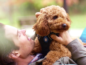 Ninety-five per cent of pet owners says their animal has a positive impact on their mental health, according to a recent national survey commissioned by Royale.