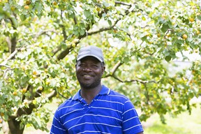 Myron Martin of Jamaica has been coming to the same tender fruit farm in the Niagara Region since 2008. Supplied