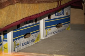 The Banana Street bomb shelter gets its name from the banana boxes used for makeshift beds.
