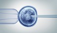 a fertilized human egg embryo and a group of dividing cells as a 3D illustration.