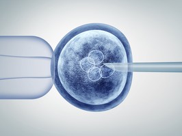 a fertilized human egg embryo and a group of dividing cells as a 3D illustration.
