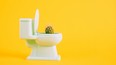 Sharp cactus in miniature toilet pot on yellow background copy space