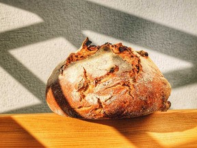 A loaf made with Flourist Marquis wheat