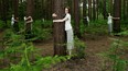 Identical women hugging trees in forest (digital composite)