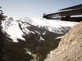 Tourists take in the views from the newly opened Glacier SkyWalk near the Columbia Icefields in Jasper National Park, Alta., Wednesday, May 7, 2014. Parks Canada says a grizzly bear cub has been orphaned after its mother was fatally stuck on a highway in Jasper National Park.