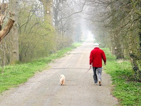 “During my years of living alone,” Mike writes, “I averaged four dog walks every day."