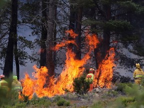 Firefighters work to extinguish a wildfire at the Sierra de la Culebra near Ferreras de Arriba, Zamora, Spain, June 19, 2022.