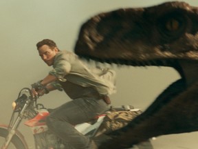 Objects in the foreground are smaller than they appear: Chris Pratt in Jurassic World Dominion.